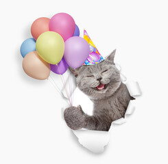 Poster - Happy kitten wearing party cap holding balloons and looking through the hole in white paper