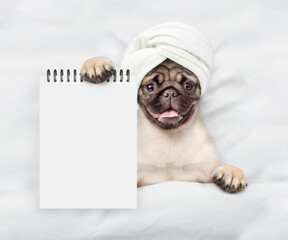 Leinwandbilder - Funny Pug puppy with towel on it head relaxing on the bed at home and showing empty list. Top down view. Empty space for text