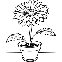 Gerbera Daisy flower outline illustration coloring book page design, Gerbera Daisy flower black and white line art drawing coloring book pages for children and adults
