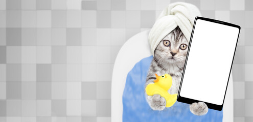 Fototapete - Cute kitten with towel on it head takes the bath with rubber duck at home and shows big smartphone with white blank screen in it paw. Top down view. Empty space for text