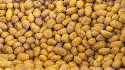 Wall Mural - Big Bunch of Potatoes Vegetables at Farmers Market Stall