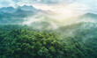 © Sawyer0 - From a bird's eye view, you can see dense, green trees in the forest on the mountain slopes, which are a perfect example of harmonious coexistence between man and nature.