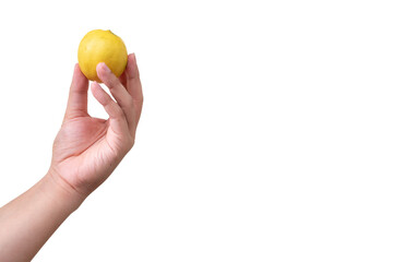 Hand holding lemon, ripe lemon, isolated, yellow, ripe lime 