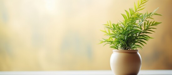Poster - Tree that decorate the room Pot fake plant with bokeh effect. copy space available