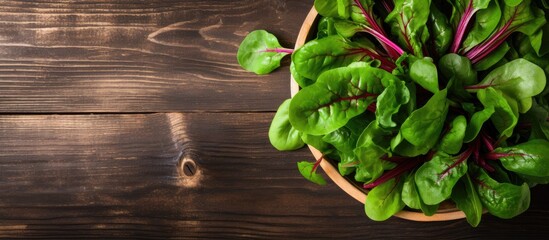 Wall Mural - Overhead shot of fresh green salad with spinach arugula and beetroot leaves in bowl on old wooden background with copyspace
