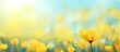 Blurry spring background with yellow flowers. copy space available