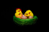 Fototapeta  - An ornamental Easter nest with eggs and chicks on a black background