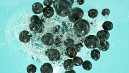 Fototapete - Super Slow Motion of Falling Blueberries into Water, Blue Background. Filmed on High Speed Cinema Camera, 1000 fps. Camera Tracking the Target.