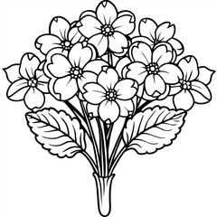 Primrose flower outline illustration coloring book page design, Primrose flower black and white line art drawing coloring book pages for children and adults
