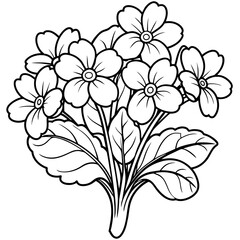 Primrose flower outline illustration coloring book page design, Primrose flower black and white line art drawing coloring book pages for children and adults
