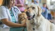 © Attasit - Patients interacting with therapy animals during animal-assisted therapy sessions, experiencing the therapeutic benefits of human-animal bond in healthcare settings.