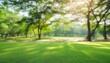 © Deanne - eautiful public park on the sunshine the shadow of the tree on a sunny day nature summer landscape selective focus and blurred background