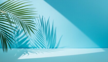 blurred shadow from palm leaves on the light blue wall