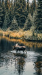 Moose Crossing River with Forest Reflections - Peaceful Nature Scene  