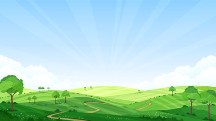 Wall Mural - a beautiful rural landscape. the meadows and pastures are covered with green grass, trees and bushes