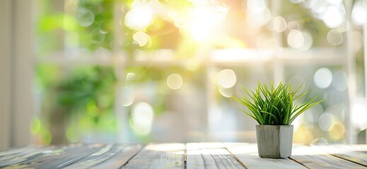 Sticker - plant pot on wooden table in the morning