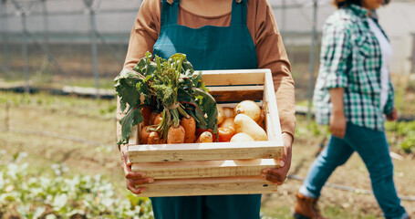 Wall Mural - Person, vegetable and box in greenhouse for farming agriculture, supply chain or countryside. Worker, carrots and onion in box as gardening supplier for wellness food or environment, growth or land