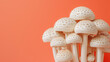A cluster of white mushrooms with tan gills and stipes against a bright orange background.