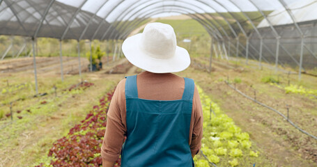 Wall Mural - Greenhouse farming, agriculture and back of woman with sustainable business in nature for quality check. Industry, plant or behind female farmer outdoor with greenery, leaf or agro growth inspection