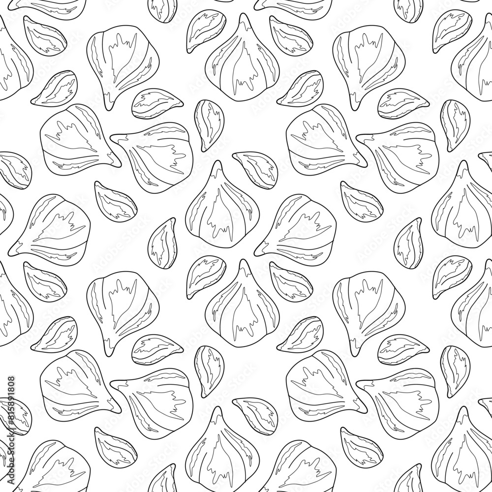 Hand-drawn pattern of garlic. Cloves of fresh garlic. Black white image ...