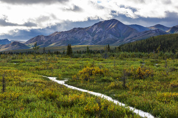 Canvas Print - Mountains on Alaska