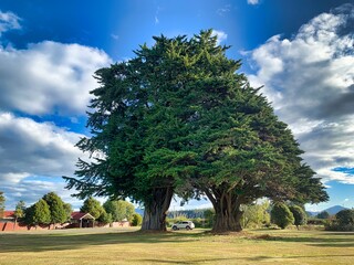 Poster - New Zealand