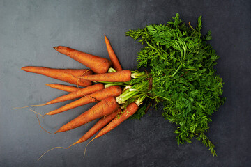 Wall Mural - Carrot, organic and healthy plant on dark background for nutrition, health and weight loss. Vegetables, diet and market produce isolated in studio for vegan, food and cooking in house from garden