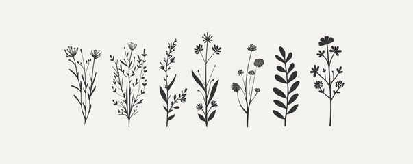 Wild herb, flowers and grass hand drawn in doodle style. vector simple illustration