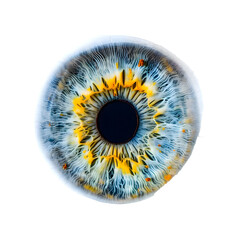 Wall Mural - Eye Iris Isolated on transparent background