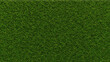 © Robert Kneschke - Rasen mit Gras als Fußballplatz Hintergrund Textur