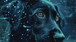 © Rodica - A lost pet with a biometrically generated image, emphasizing the use of technology in finding missing animals. Dog immersed in a vibrant digital interface