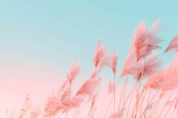 Poster - A field of tall, pink grasses with a blue sky in the background