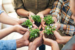 © peopleimages.com - Earth day, nature plants and hands of business people for new flower life, green leaf or future growth. Sustainability, team building and corporate for help, eco friendly environment and nurture