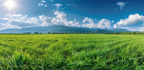 Sticker - Panoramic natural landscape with green grass field, blue sky with clouds and and mountains in background