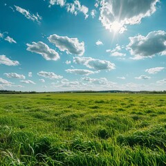 Wall Mural - A tranquil landscape with a vibrant green field offset by a deep blue sky punctuated with fluffy white clouds