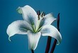 Detailed close-up of a graceful lily flower, showcasing the intricate beauty of the ikebana style of flower display concept