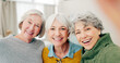 © peopleimages.com - Selfie, fun and senior woman friends happy in a home for a visit during retirement together. Portrait, smile and social media profile picture with a group of old people in a house for bonding