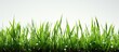 green grass field isolated background