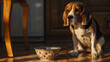 © Generative AI - A beagle dog is sitting on the floor next to an empty bowl : Generative AI