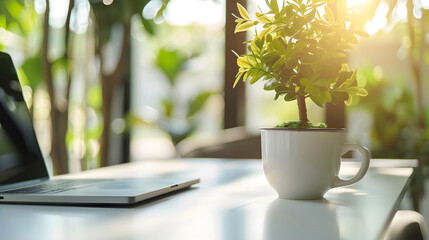 Leinwandbilder - Close up view of simple workspace with laptop notebooks coffee cup and tree pot on white table with blurred office room background : Generative AI
