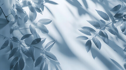 Wall Mural - abstract shadow sun glare from glass and leaves empty background composition for product presentatio