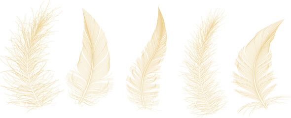 fluffy twirled feather set, isolated goose feathers realistic style, vector