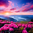 beautiful scene blooming pink rhododendrons flowers ,amazing panoramic nature scenery