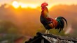 Majestic rooster on a rooftop at sunrise. Rural morning scene with vibrant colors. Symbol of wake-up call and new beginnings. Ideal for farm-related design projects. AI