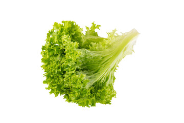 Wall Mural - Lettuce organic salad, fresh green hydroponic vegetable isolated on white, transparent background. Salad leaf close up. Vegetarian food, healthy lifestyle