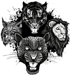 Sticker - monochrome set of head feline vector illustration design