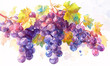 bunch of grapes-generative aI