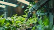 © Paul - Detailed view of smart robotic arms planting seeds in a modern greenhouse, highlighting precision and efficiency in autonomous farming