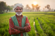 © saurav005 - Portrait of an indian farmer in a rice field.