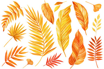 Bright tropical leaves isolated. Yellow, orange dry leaves watercolor hand drawing, Set Exotic dry palm leaf, gold plant
